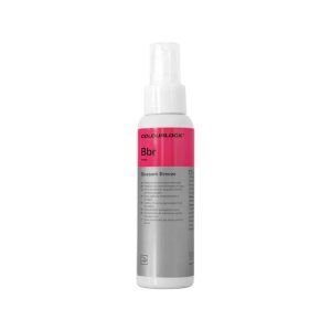 Interior Fragrance Blossom Breeze (100ml) Bbr