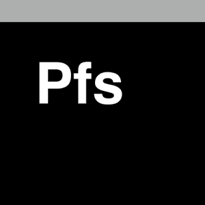 Pfs 1760317201
